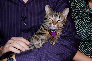 ����� 101 �� ������ 21 ���, 22:00 �.